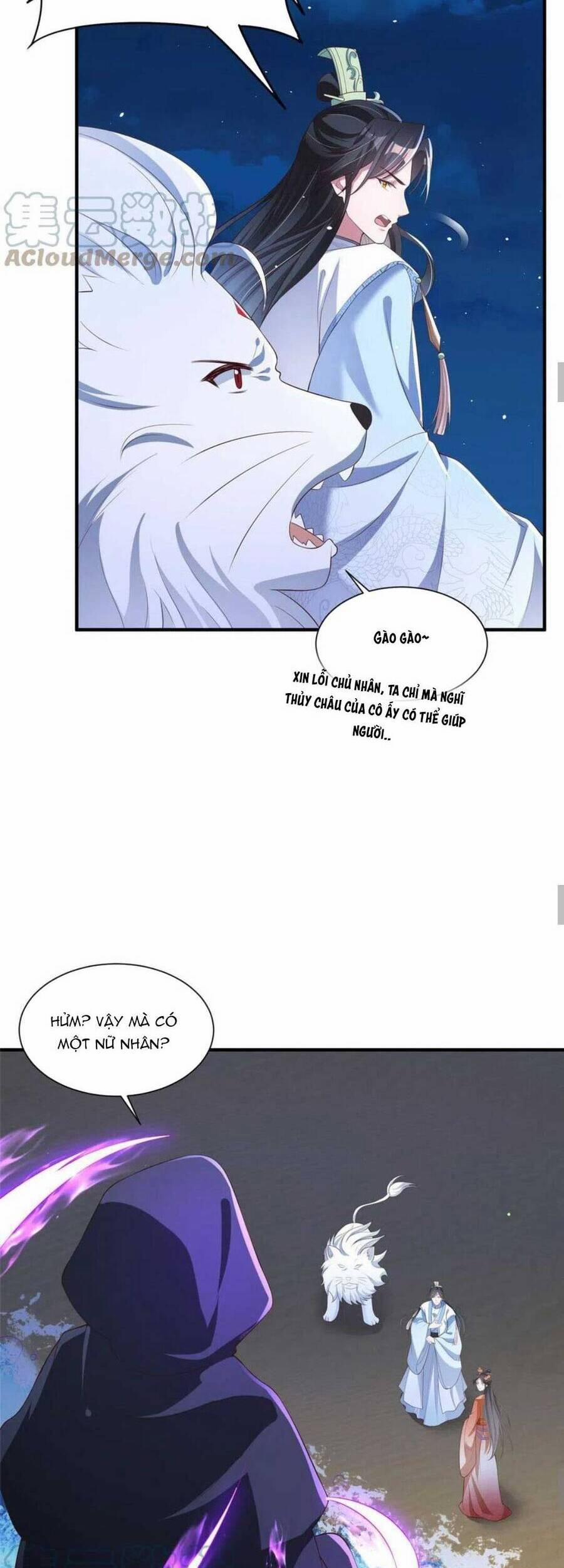 Trùng Sinh Sống Lại ! Các Hoàng Tử Ai Cũng Muốn Cưới Ta ! 49 trang 13