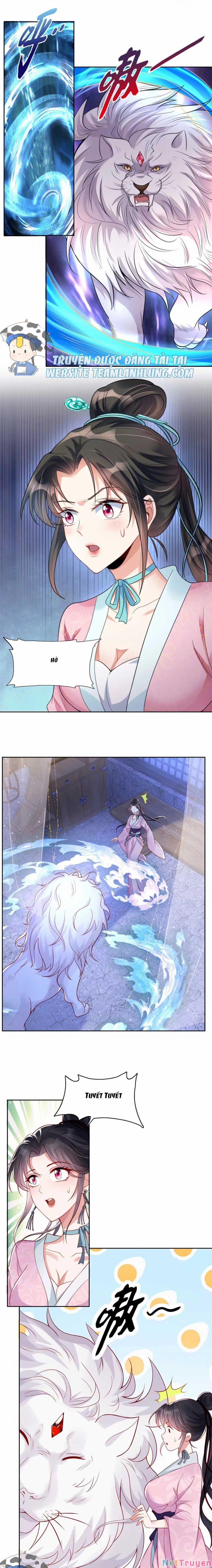 Trùng Sinh Sống Lại ! Các Hoàng Tử Ai Cũng Muốn Cưới Ta ! 6 trang 7