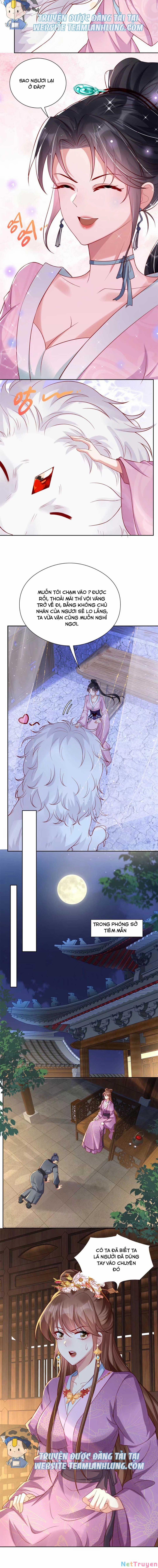 Trùng Sinh Sống Lại ! Các Hoàng Tử Ai Cũng Muốn Cưới Ta ! 6 trang 8