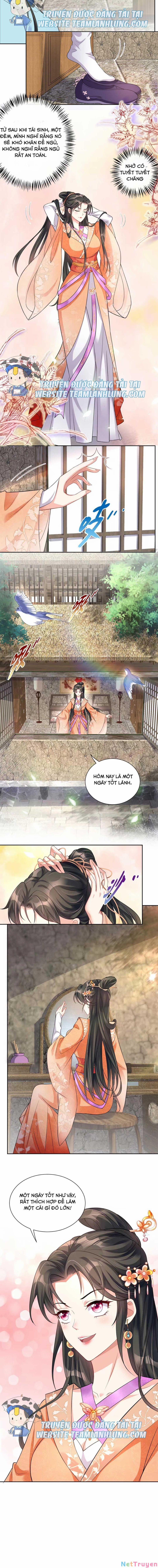 Trùng Sinh Sống Lại ! Các Hoàng Tử Ai Cũng Muốn Cưới Ta ! 7 trang 7