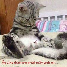 Truth or Dare (Pokemon) Oneshot trang 21