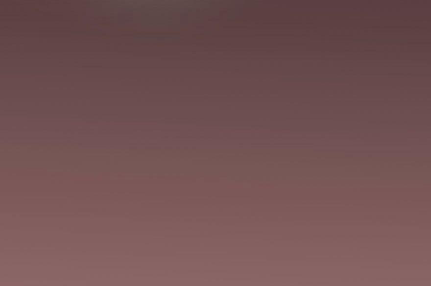 Truy Bắt Ngao Ngao 43 trang 6