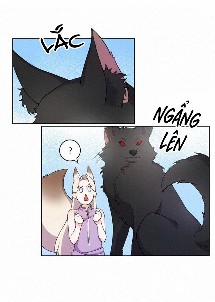 Truyền Thuyết Hồ Ly 5 trang 4