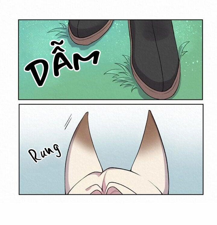 Truyền Thuyết Hồ Ly 5 trang 9