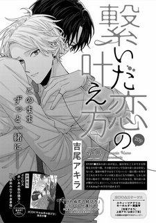 Bìa truyện Tsunaida Koi no Kanaekata, 