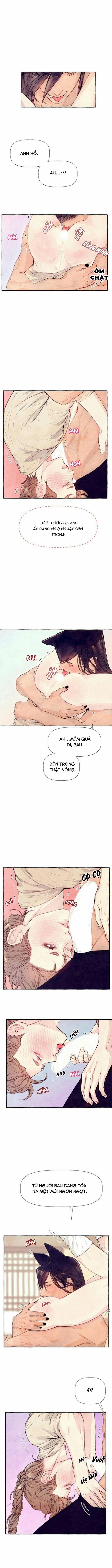 TTHN 8 trang 0