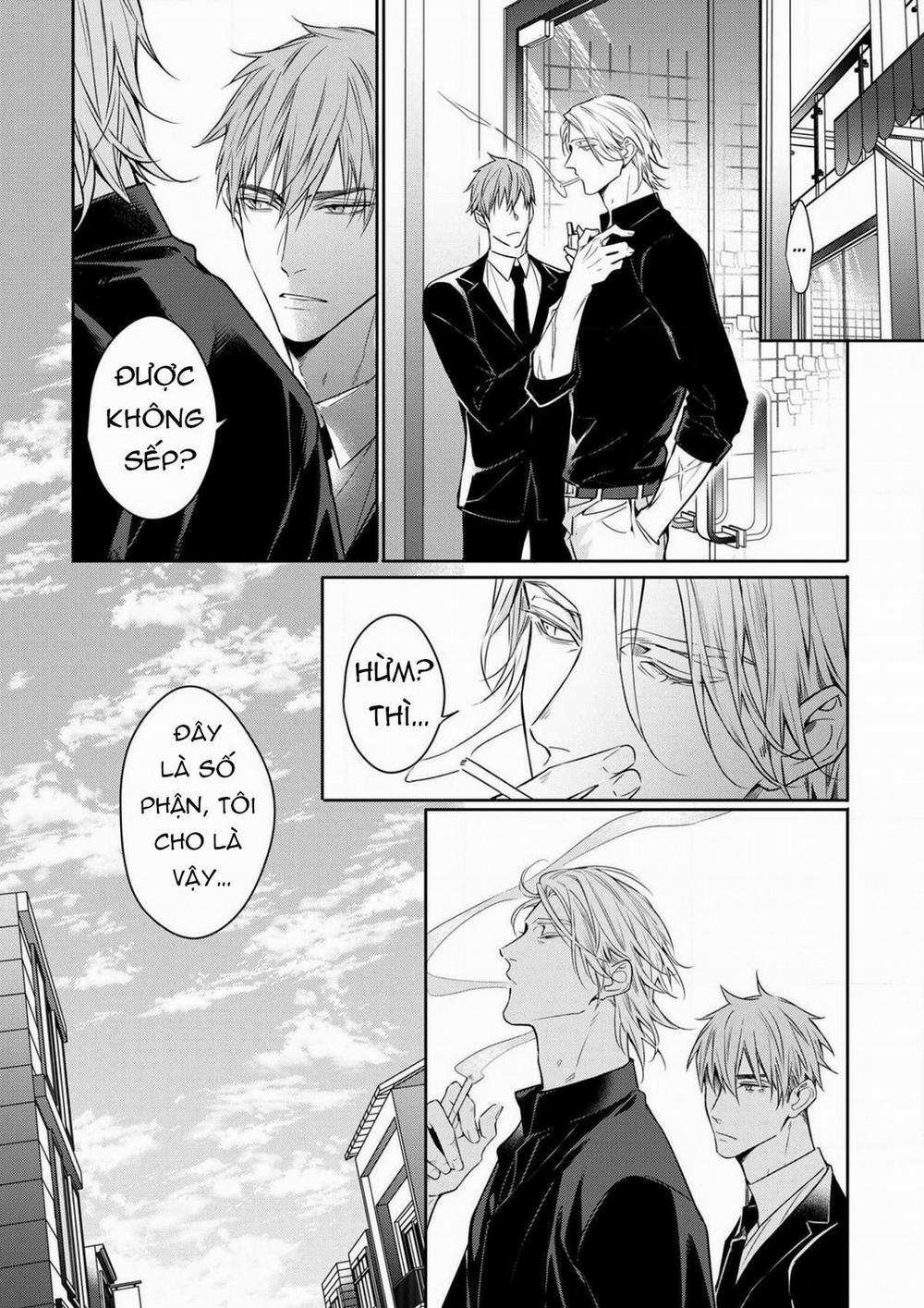 Từ Bỏ Số Phận 9 trang 8