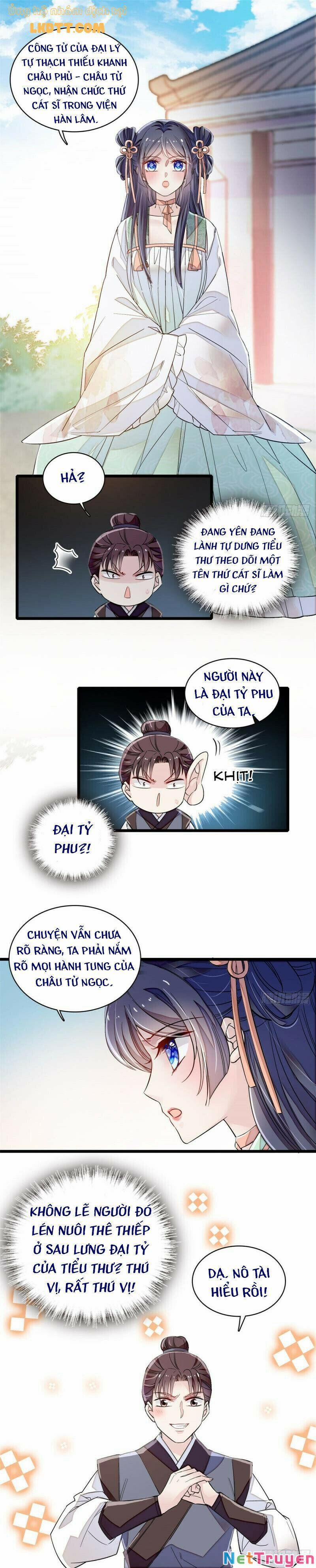 Tự Cẩm 102 trang 3