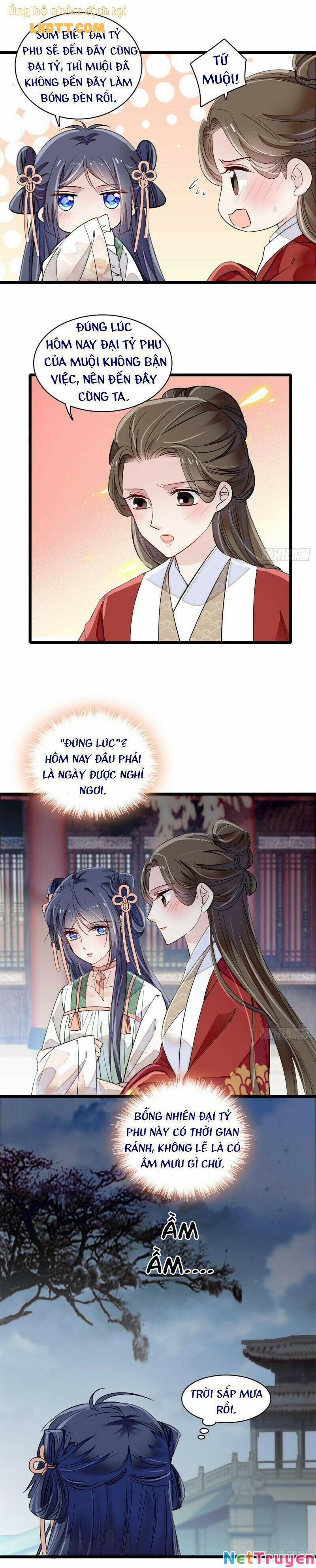 Tự Cẩm 102 trang 7