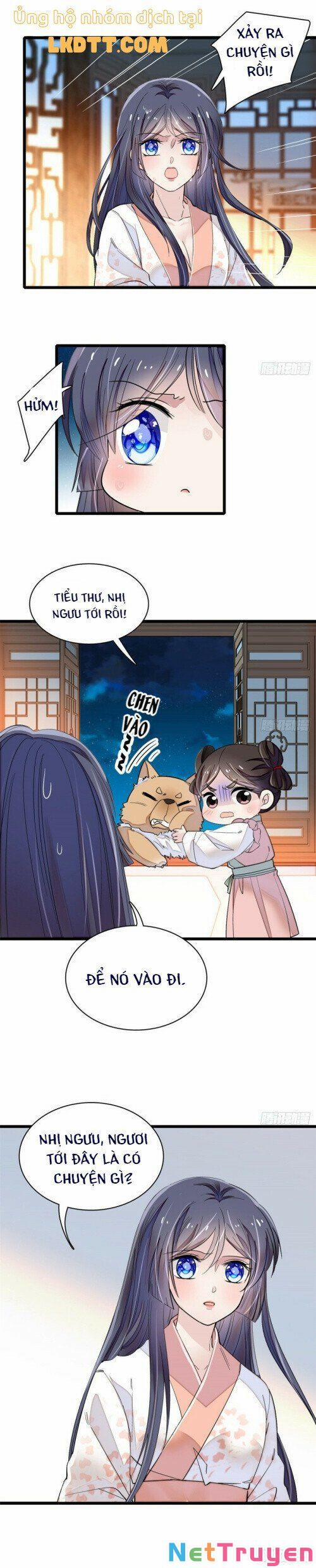 Tự Cẩm 106 trang 6