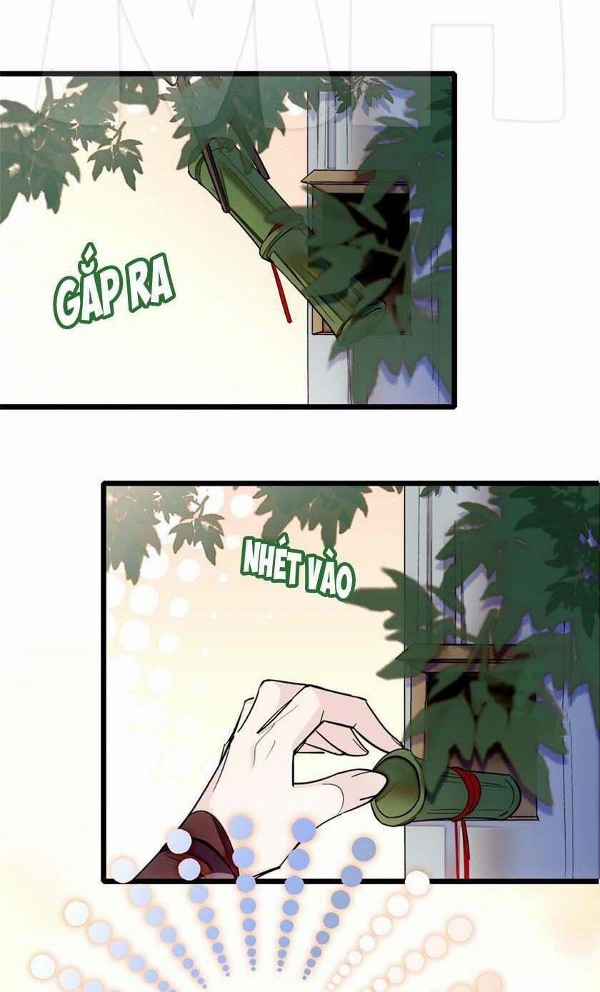 Tự Cẩm 11 trang 15