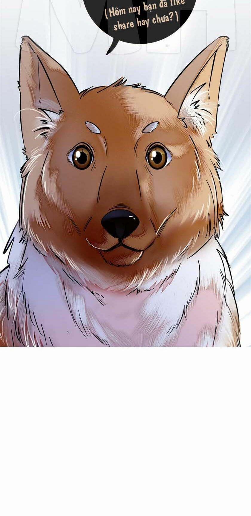 Tự Cẩm 11 trang 39