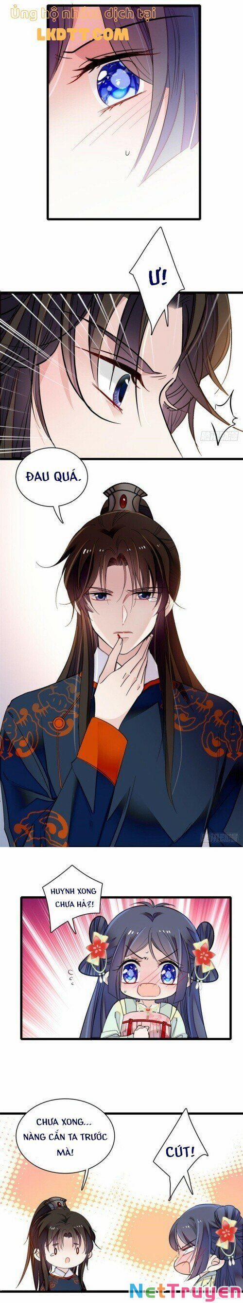 Tự Cẩm 110 trang 1