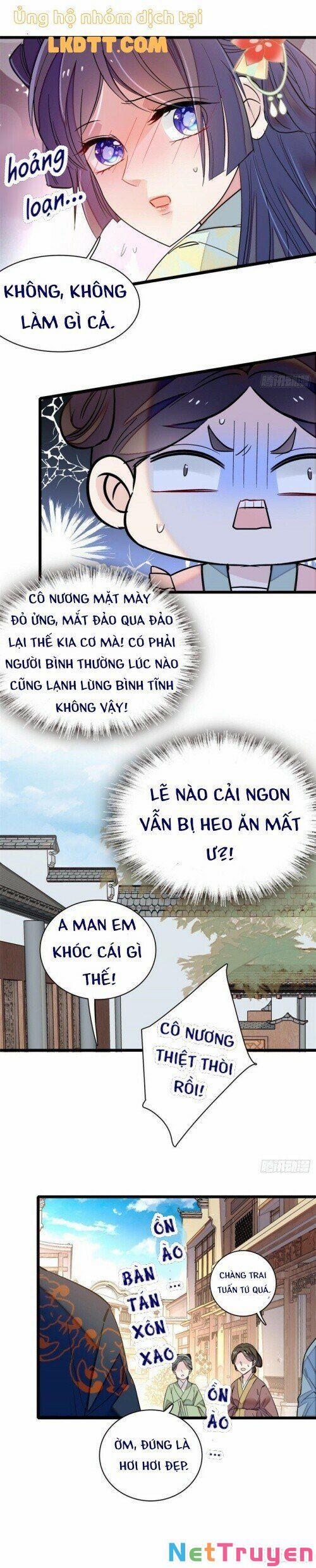 Tự Cẩm 110 trang 7