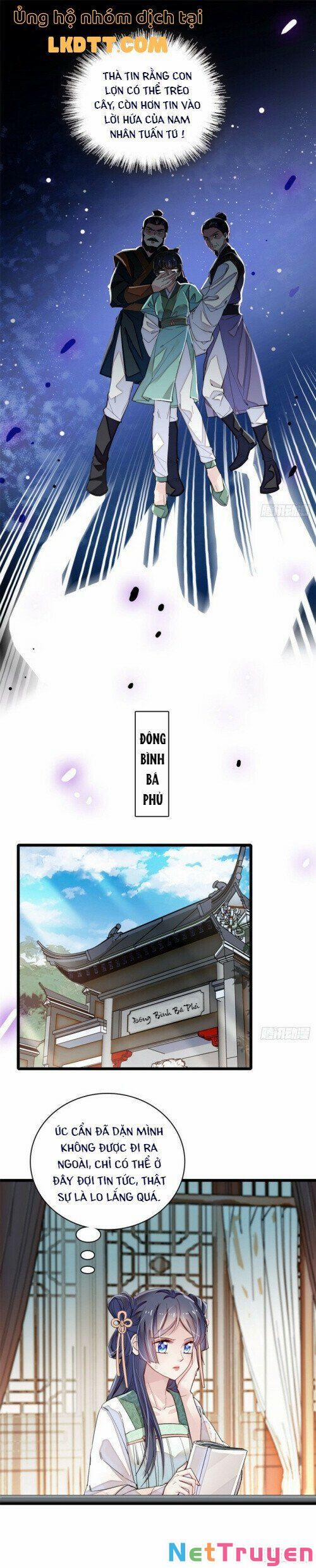 Tự Cẩm 111 trang 11