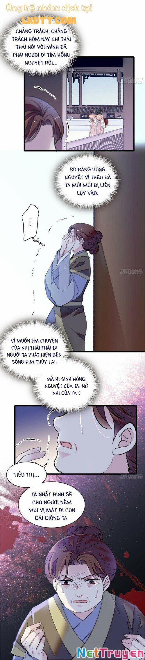 Tự Cẩm 112 trang 13