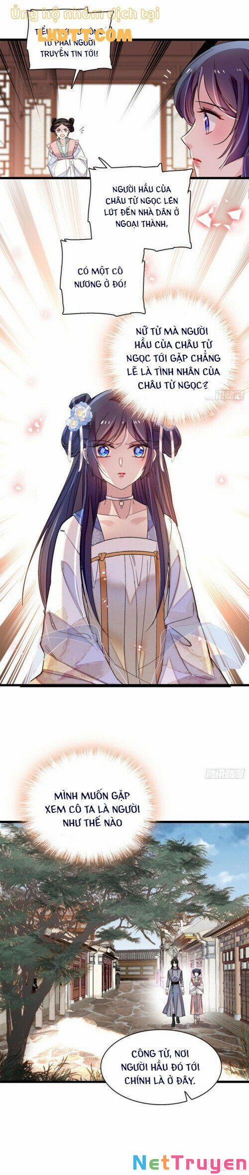 Tự Cẩm 114 trang 10