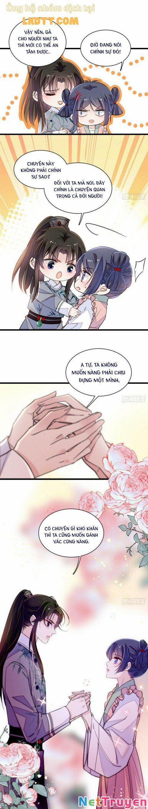 Tự Cẩm 114 trang 8