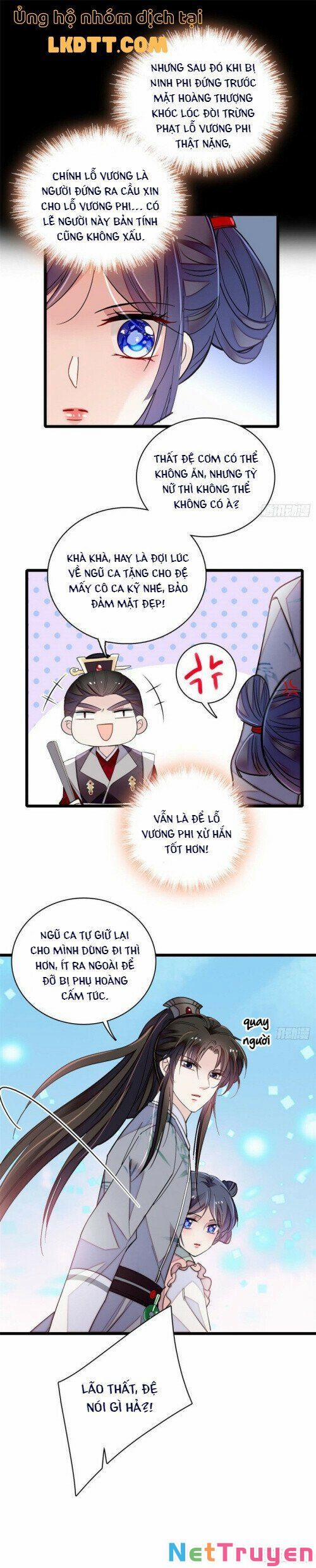 Tự Cẩm 115 trang 11