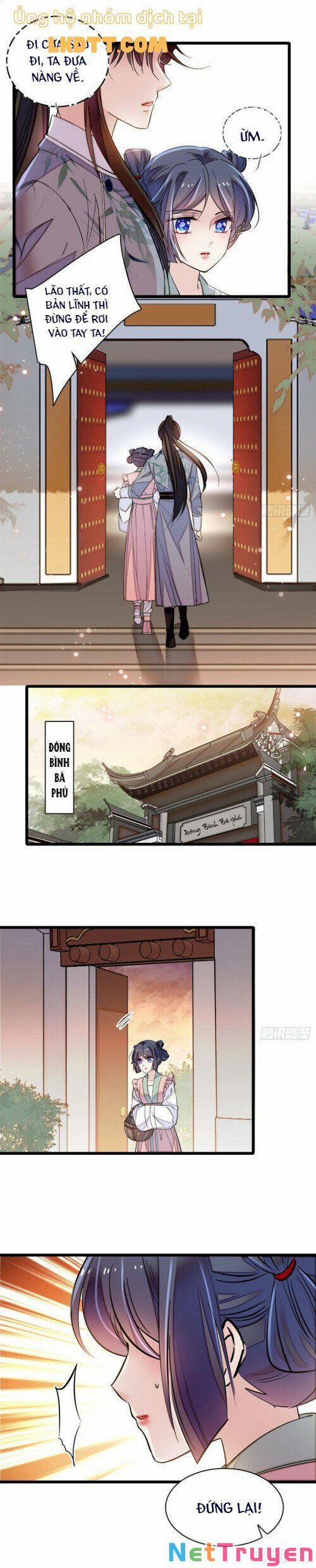 Tự Cẩm 115 trang 12