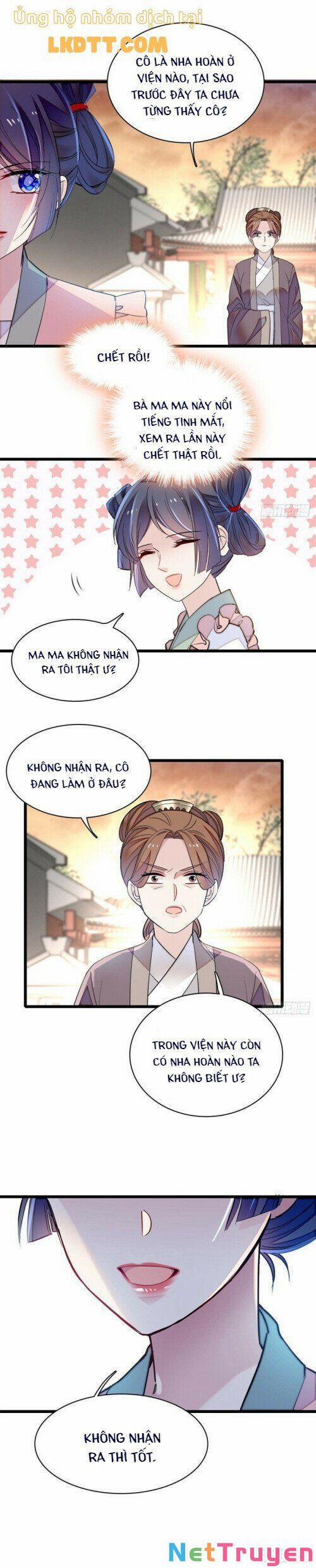 Tự Cẩm 115 trang 13