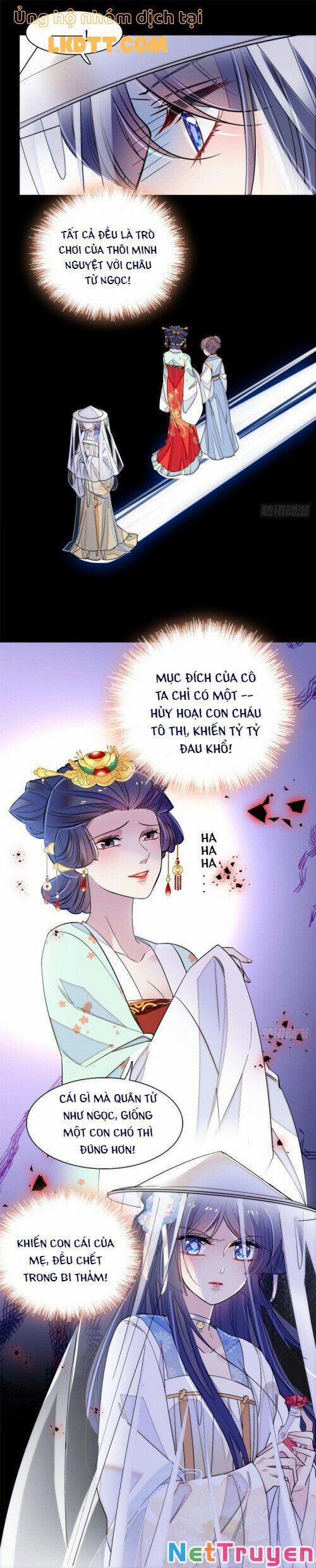 Tự Cẩm 116 trang 11