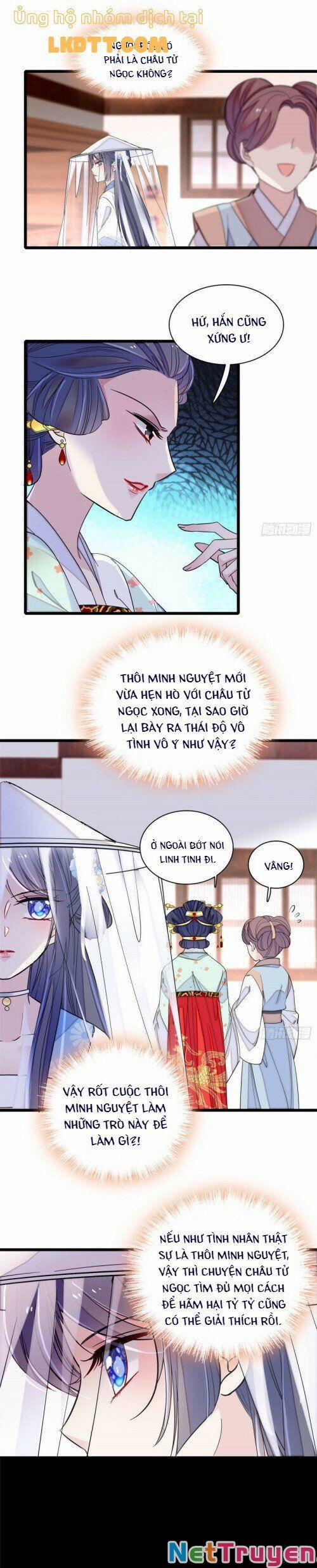 Tự Cẩm 116 trang 8