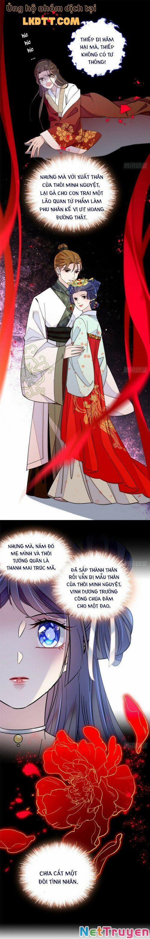 Tự Cẩm 116 trang 9