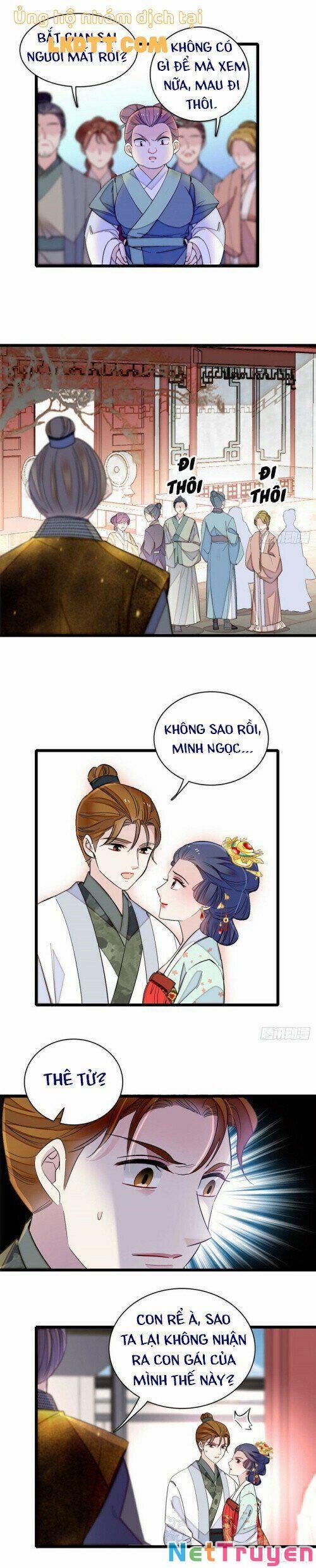 Tự Cẩm 117 trang 11