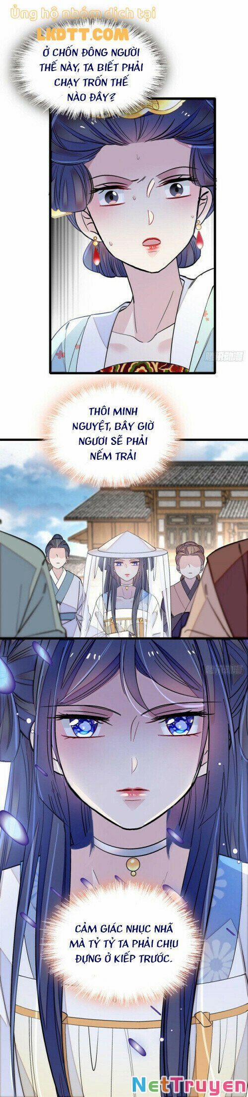 Tự Cẩm 117 trang 13