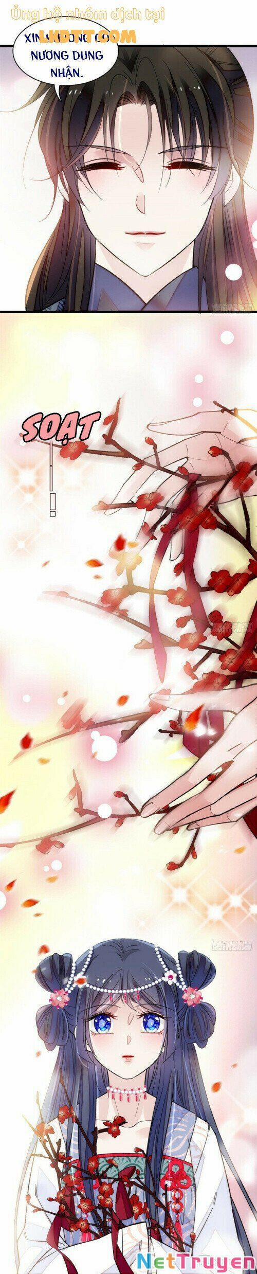 Tự Cẩm 12.6 trang 11