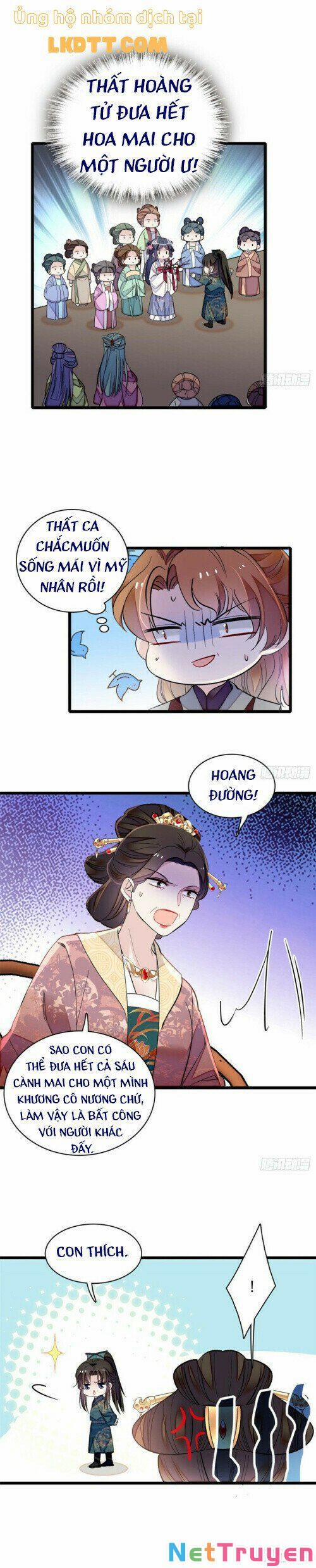 Tự Cẩm 12.6 trang 12