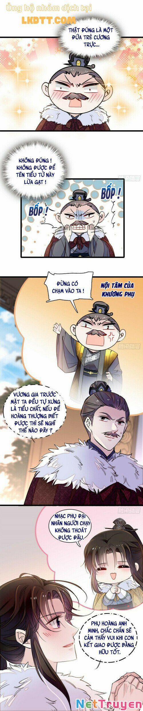 Tự Cẩm 122 trang 11