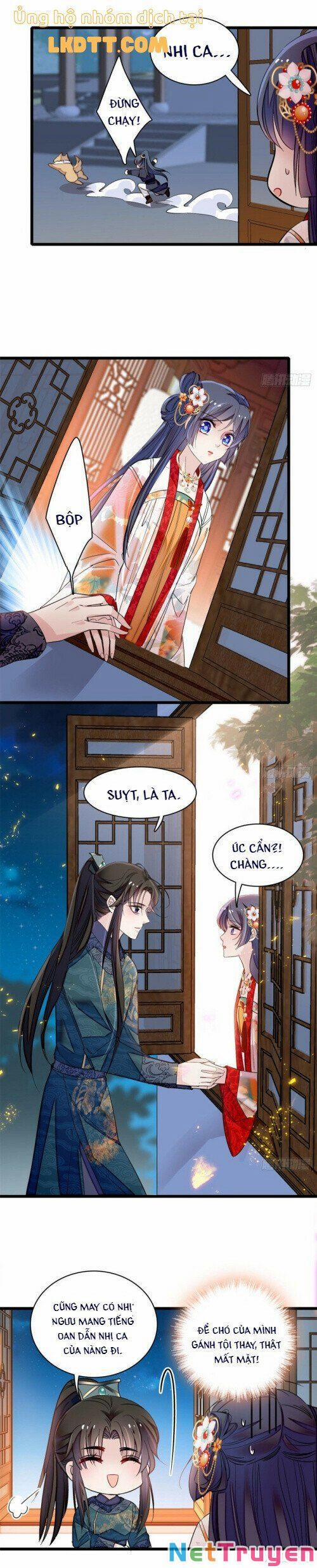 Tự Cẩm 123 trang 11