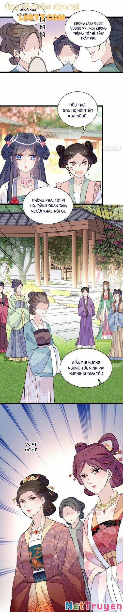 Tự Cẩm 124 trang 14