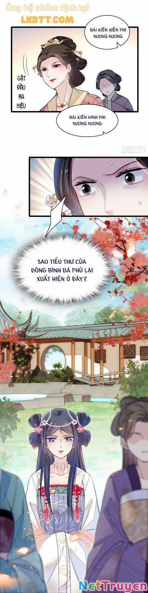 Tự Cẩm 124 trang 15