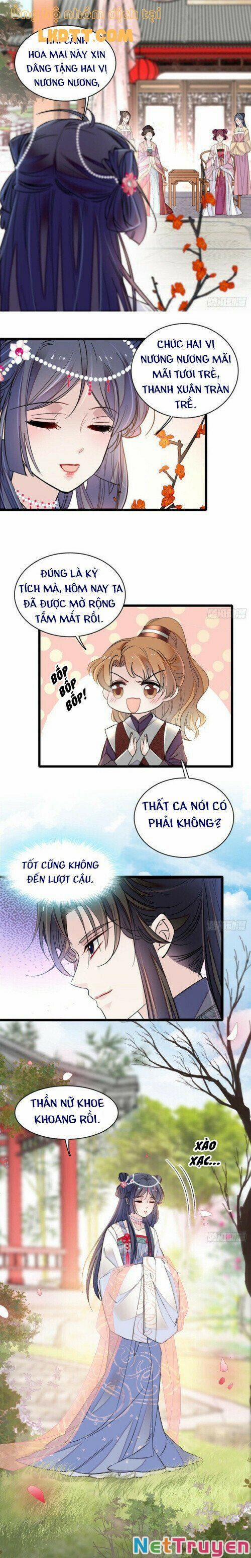 Tự Cẩm 126 trang 1