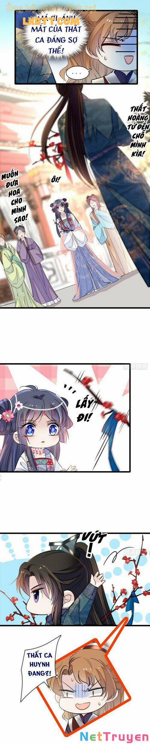 Tự Cẩm 126 trang 10