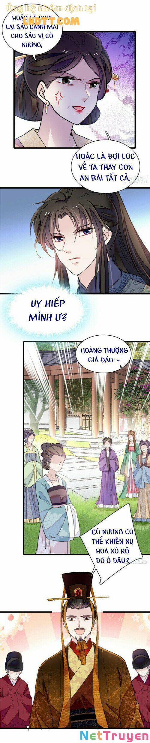 Tự Cẩm 126 trang 13