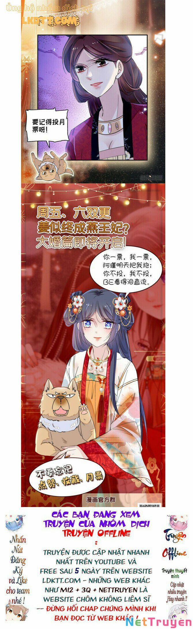 Tự Cẩm 127 trang 13