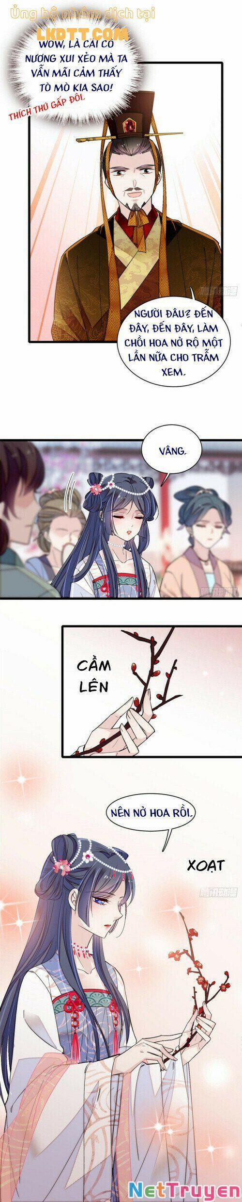 Tự Cẩm 127 trang 2