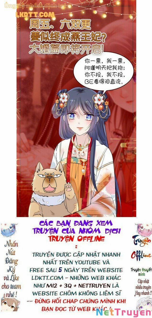 Tự Cẩm 128 trang 13