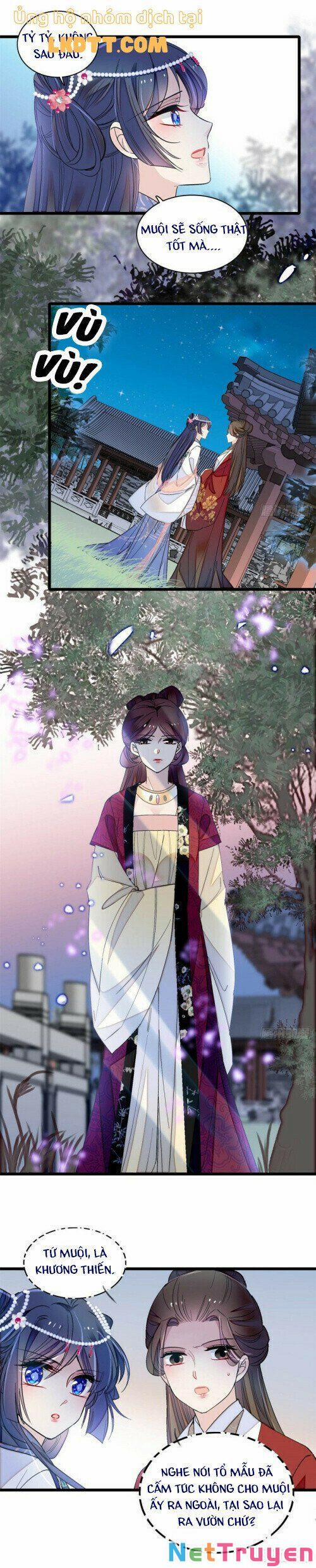 Tự Cẩm 129 trang 2