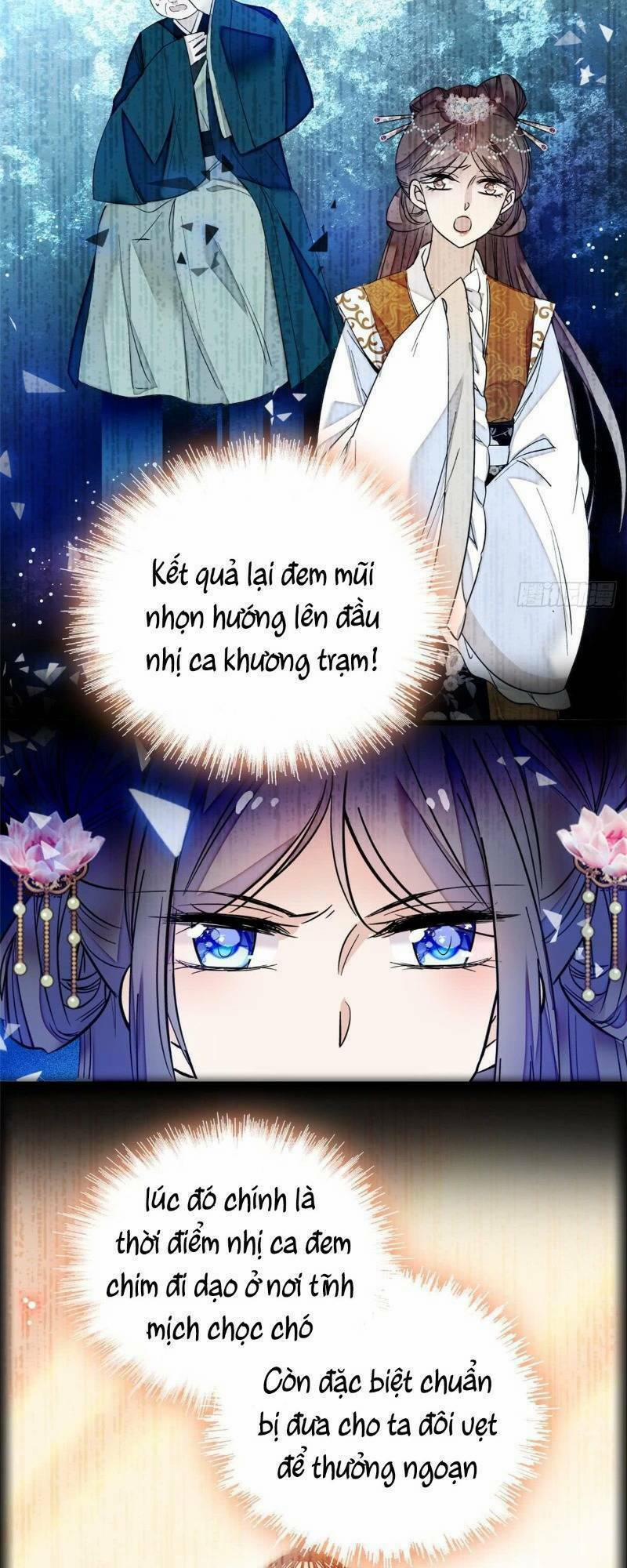 Tự Cẩm 13 trang 12