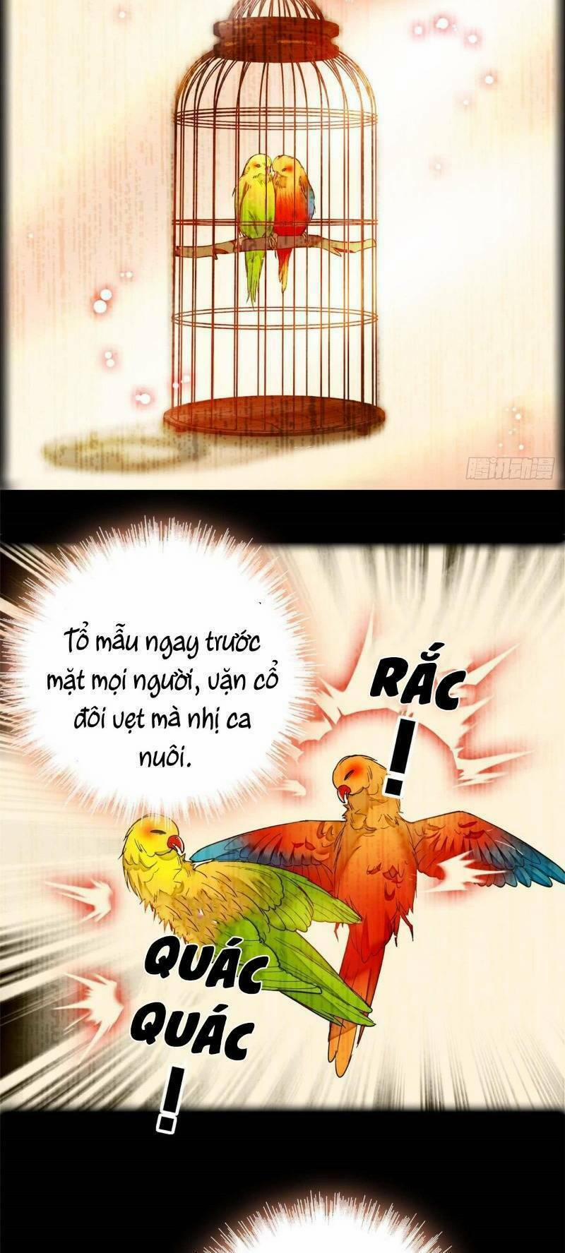 Tự Cẩm 13 trang 13