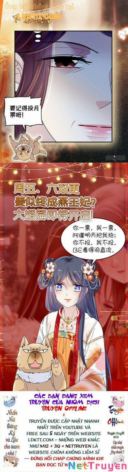 Tự Cẩm 131 trang 11