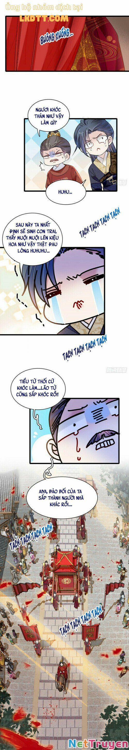 Tự Cẩm 134 trang 12