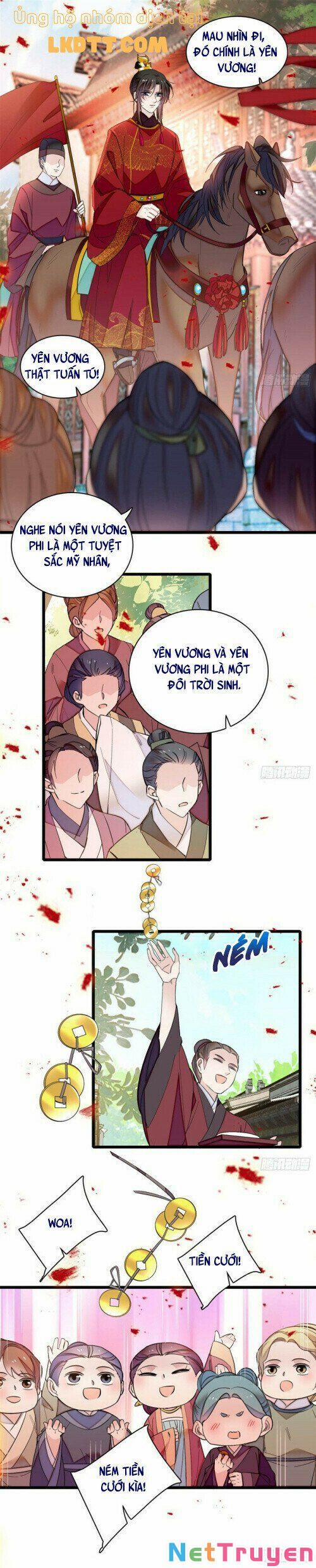 Tự Cẩm 134 trang 13