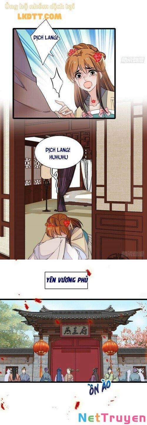 Tự Cẩm 134 trang 16