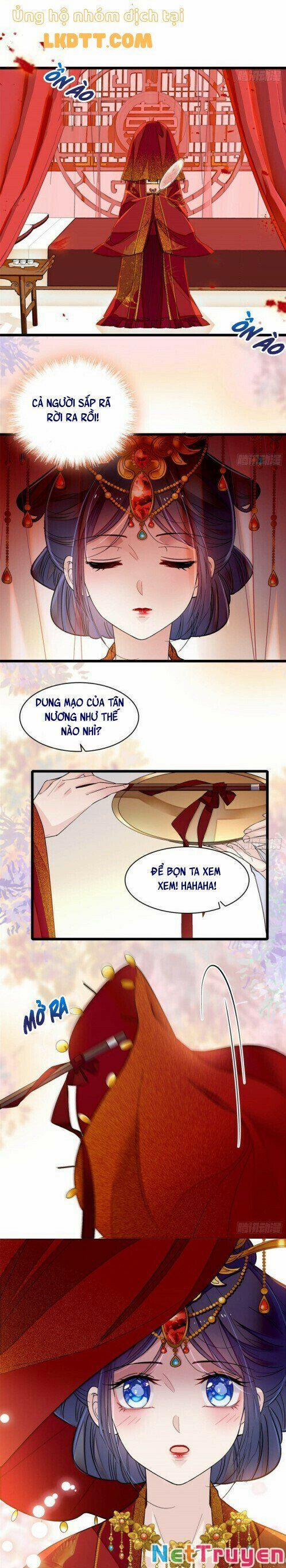 Tự Cẩm 134 trang 17